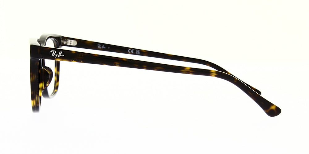 RX5446-2012-51