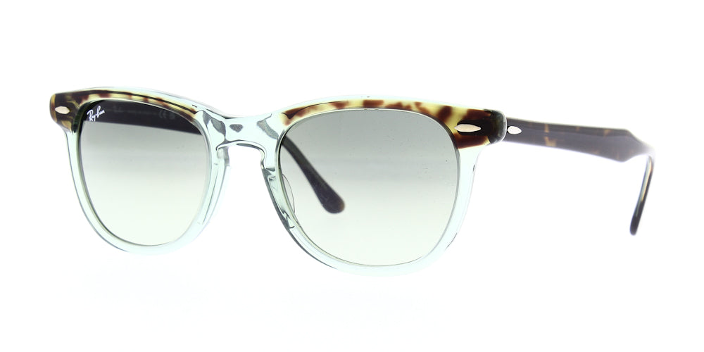 eagleeye-rb2398376bh-53