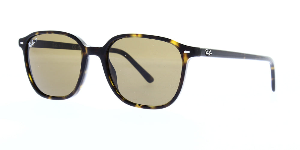 leonard-rb2193-902-57-polarised-53
