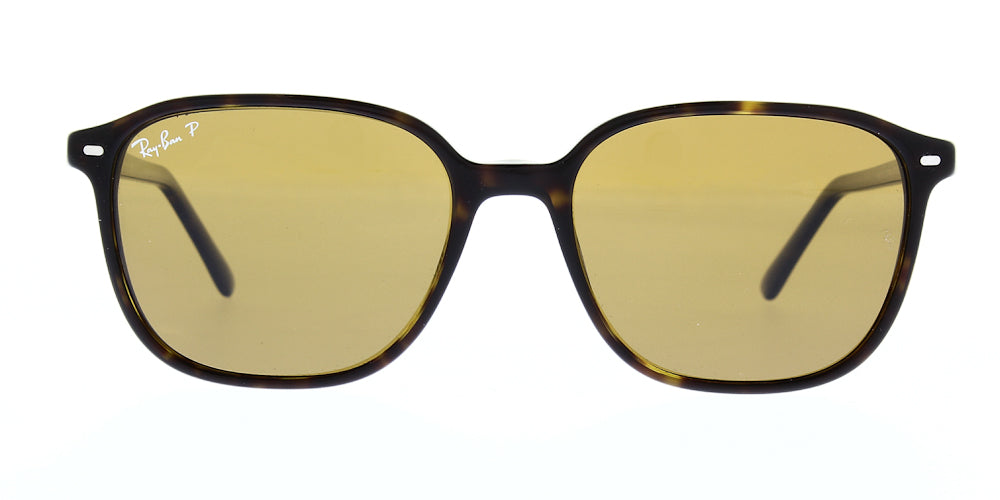 leonard-rb2193-902-57-polarised-55