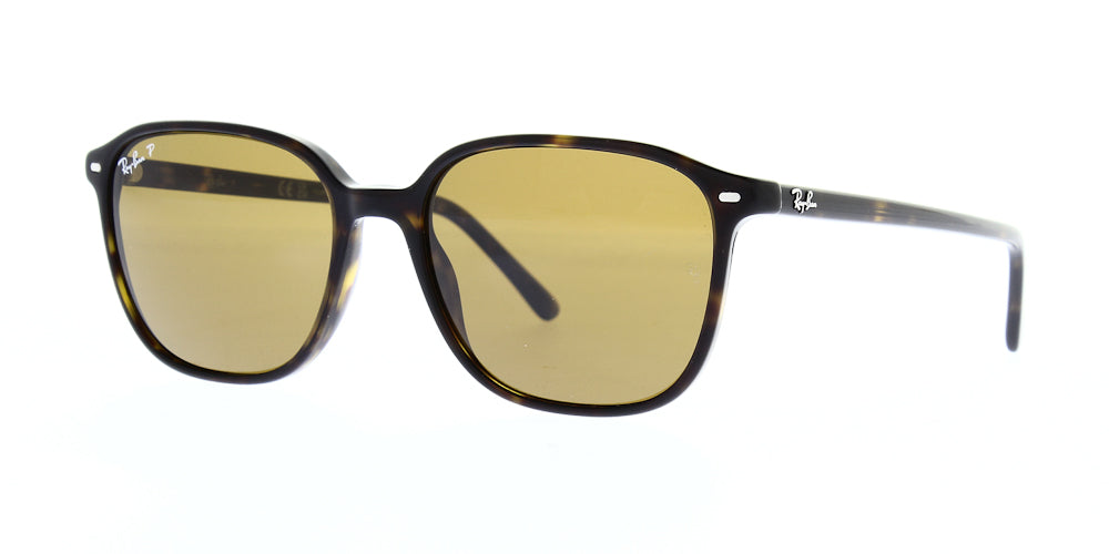 leonard-rb2193-902-57-polarised-55