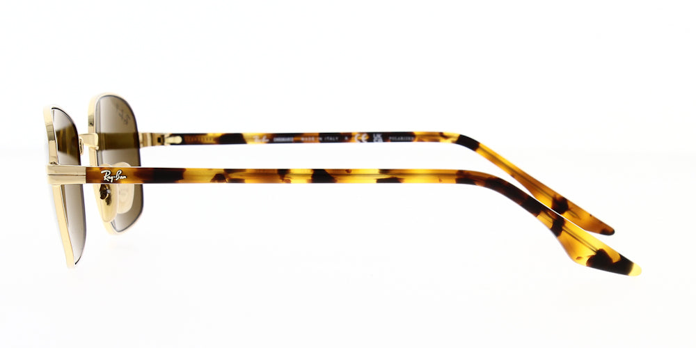 rb3690-001-an-polarised-54