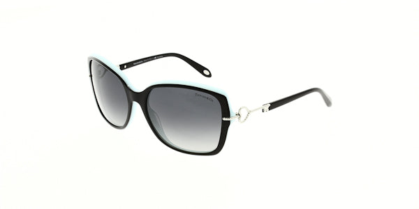 tf4101-8055t3-polarised-58