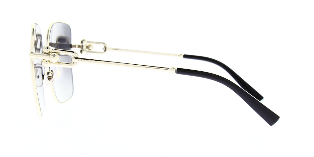 tf3094-6198t3-polarised-58