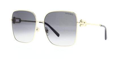 tf3094-6198t3-polarised-58
