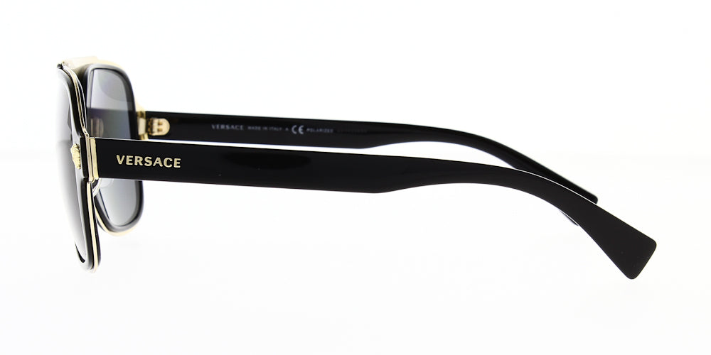 ve219900281-polarised-56