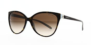 Tiffany & Co. Sunglasses TF4089B 81343B 58