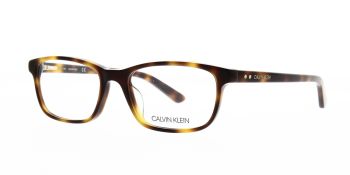 Calvin Klein Glasses CK19507 240 53