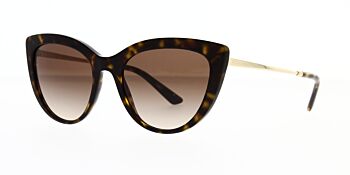 Dolce & Gabbana Sunglasses DG4408 502 13 54