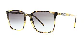 Dolce & Gabbana Sunglasses DG4424 512 8G 56