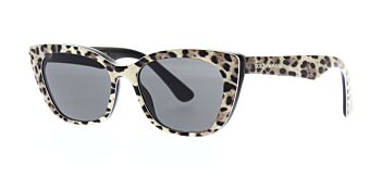 Dolce & Gabbana Sunglasses DX4427 316387 49