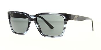 Emporio Armani Sunglasses EA4177 531087 57