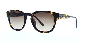Fila Sunglasses SFI310V C10P Polarised 51
