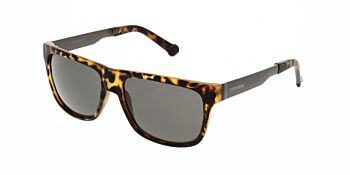 Converse Sunglasses H021 Matte Tortoise 55
