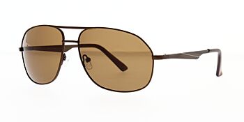 Halstrom Sunglasses HS806 B Polarised 60