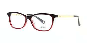 Joules Glasses Penny JO3058 221 50