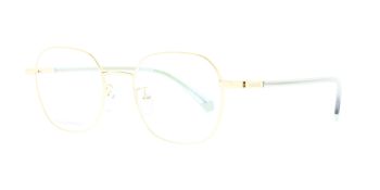 Polaroid Glasses PLD D474 G J5G 50