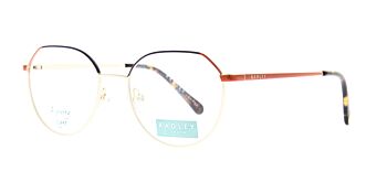 Radley Glasses RDO 6005 201 50