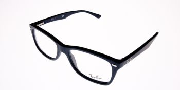 Ray Ban Glasses RX5228 5583 53