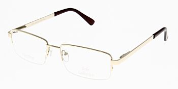 Solo Glasses 565 Gold 55