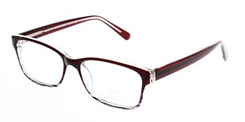 Solo Glasses 571 Brown Grey 51