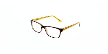 Solo Glasses 572 Brown 51
