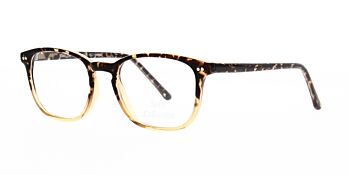 Solo Glasses 805 Brown Demi 49