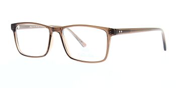 Solo Glasses 816 Brown 54