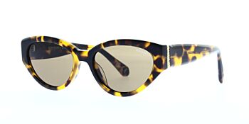 Superdry Sunglasses SDS 5013 102 52