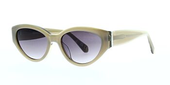 Superdry Sunglasses SDS 5013 172 52