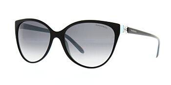 Tiffany & Co. Sunglasses TF4089B 8055T3 Polarised 58