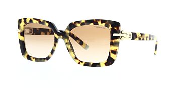 Tiffany & Co. Sunglasses TF4199 80643B 53