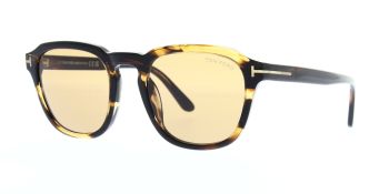 Tom Ford Avery Sunglasses TF931 56E 52