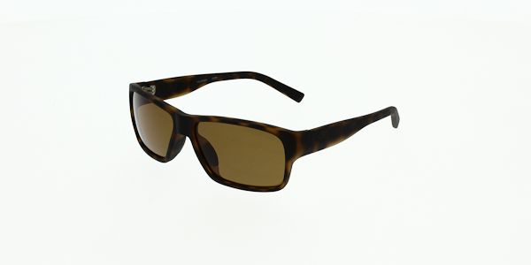 converse 33 glasses